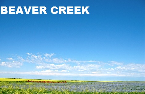 Car Title Loans Beaver Creek