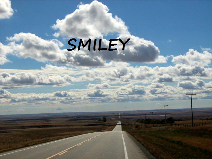 Car Title Loans Smiley
