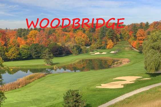 Car Collateral Loans Woodbridge