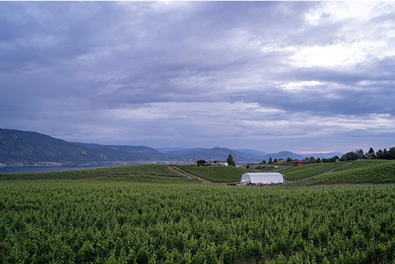 Car Title Loans Penticton BC