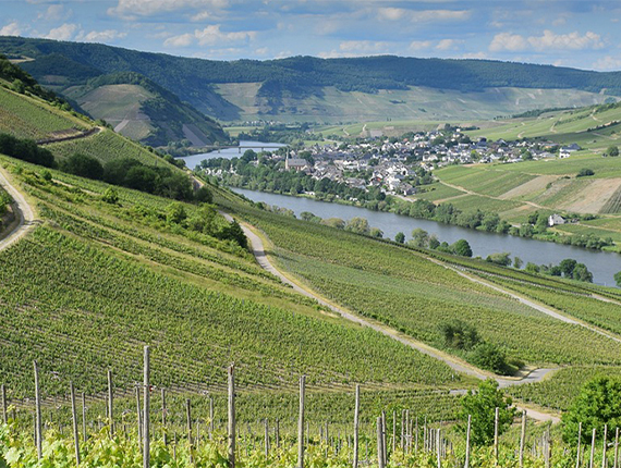 Car Collateral Loans Frobisher