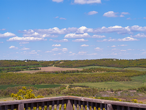 Car Collateral Loans Thornhill