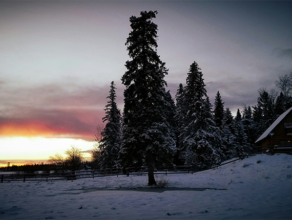 Car Title Loans Williams Lake